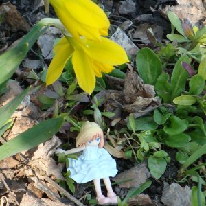 Дюймовочка
POP Wonderland #3 Thumbelina
весна в Сибири