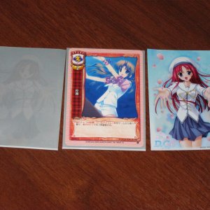 Сделал фото для просвещение людей что такое Card Sleeve.
Character Sleeve Collection - D.C. -Da Capo- [Shirakawa Kotori]
вот эта:
http://www.1999.co.j