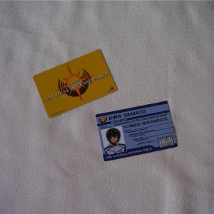 ID-карты с лицевой (Кира) и обратной (Асуран) стороны