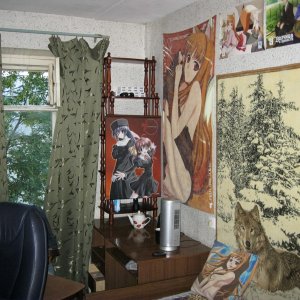 Моя комната в настоящий момент.