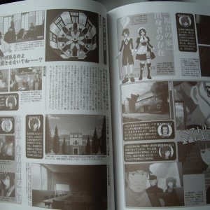 Umineko No Naku Koro Ni Visual Fan
Book