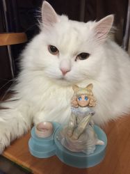 Имя файла=IMG_2100.JPG
Размер файла=1273КБ
Размеры=2448x3264
Дата=Нояб 20, 2015 IMG_2100.JPG