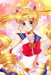Sailor.Moon.(Character).full.1301145.jpg
