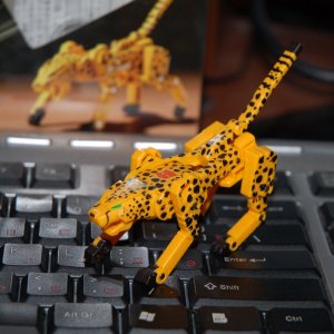Transformers Device Label Device Cheetahs Operating USB Memory